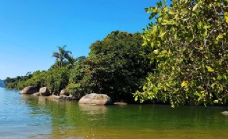 Imóvel com 3 (três) alqueires (81.600 m²) de terras. no mapa, propriedade na área 25. - propriedade em são gonçalo, em paraty - imagens ilustrativas.