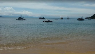Imóvel com 2 alqueires (54.400 m²) de terras. no mapa, propriedade na área 10 - propriedade em cajaíba, em paraty - imagens ilustrativas