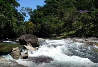 Imóvel com área de 06 alqueires geométricos, isto é, 290.400 m², fazendo divisa com o rio bonito - lugar denominado rio bonito, toca da onça, ao sul d