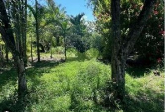 Imóvel com área de 6 alqueires , isto é, 163.200 m² - lugar denominado zungu, em silva jardim / rj. as certidões do imóvel estão sendo extraídas, assim como sua fiel localização. imagens ilustrativas.